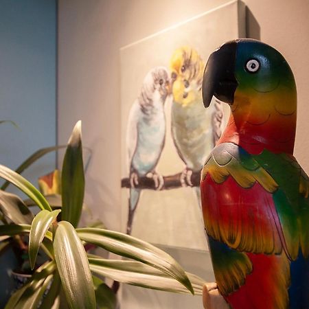 Apartament U Olechny 5 比得哥什 外观 照片