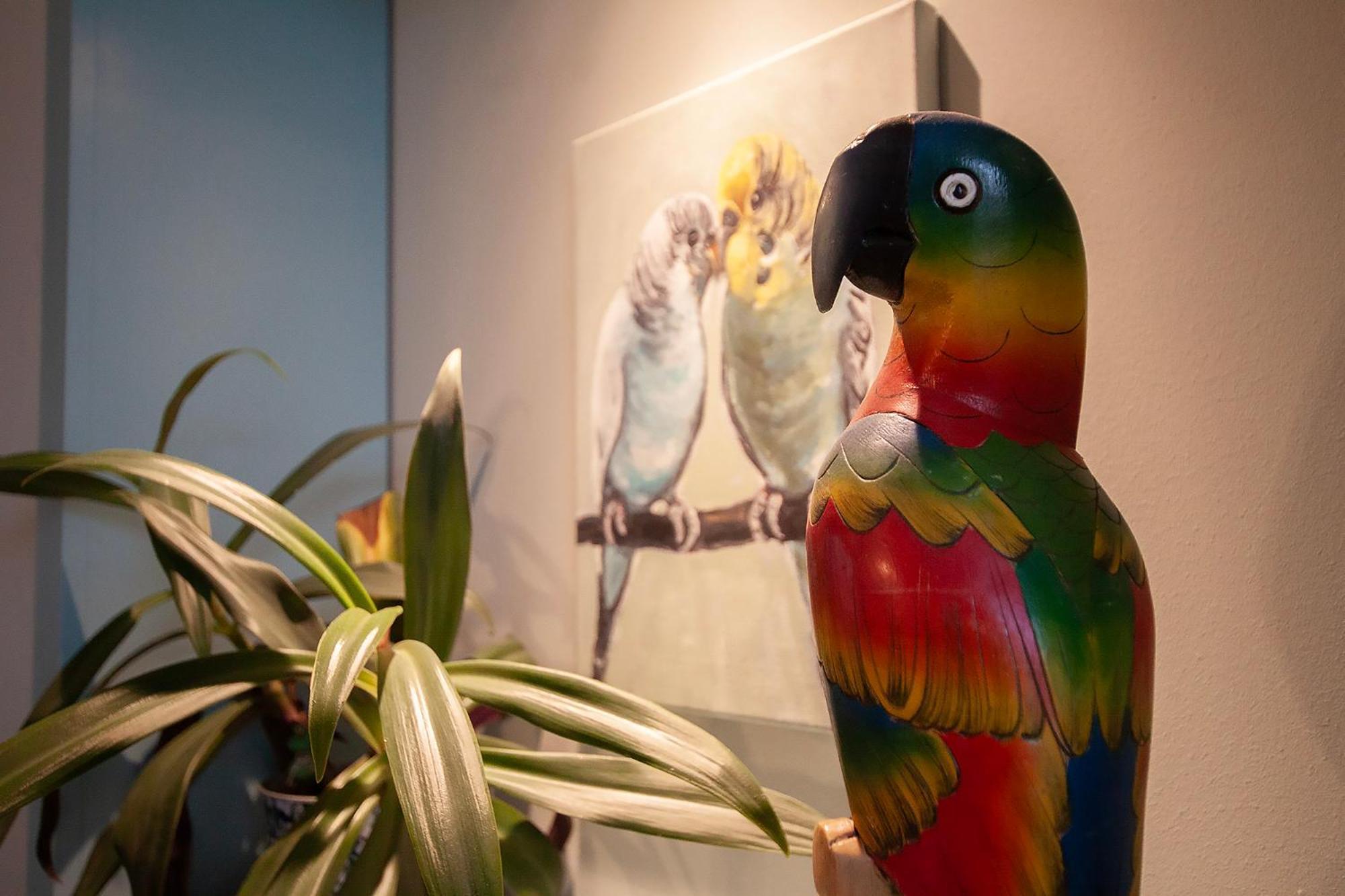 Apartament U Olechny 5 比得哥什 外观 照片