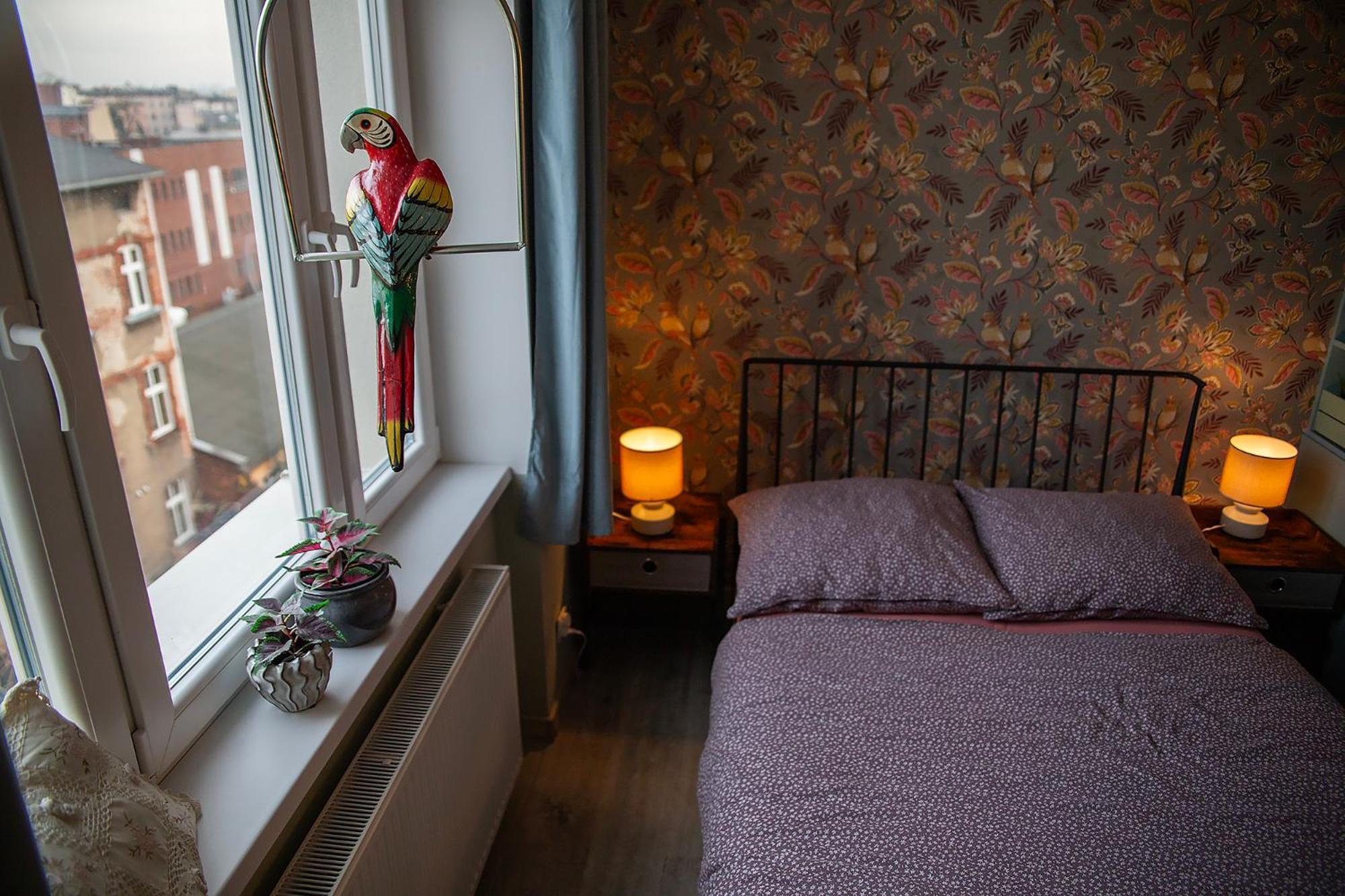 Apartament U Olechny 5 比得哥什 外观 照片