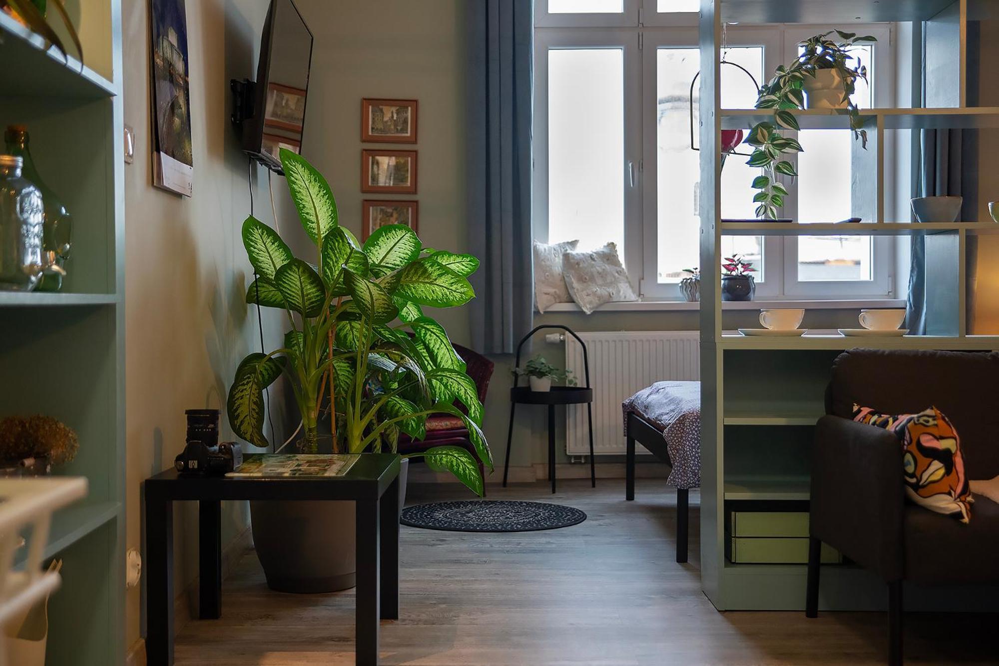 Apartament U Olechny 5 比得哥什 外观 照片